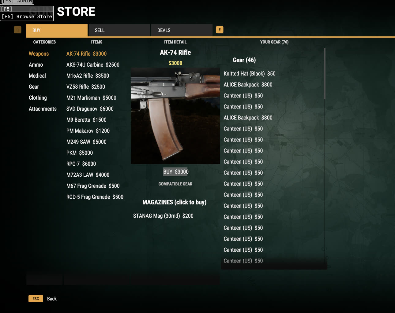An early build of the store interface